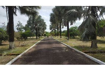 Lote de Terreno en  Maizaro, Villavicencio