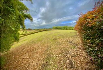 Lote de Terreno en  Rionegro Antioquía