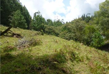 Lote de Terreno en  El Retiro, Antioquia