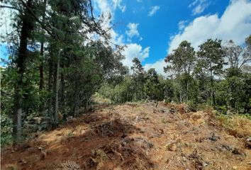 Lote de Terreno en  El Retiro, Antioquia