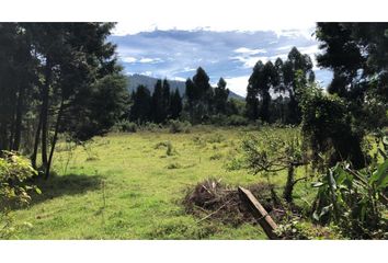 Lote de Terreno en  Guarne, Antioquia