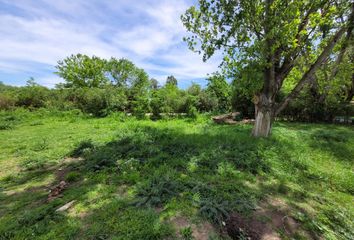 Terrenos en  Parada Robles, Exaltación De La Cruz