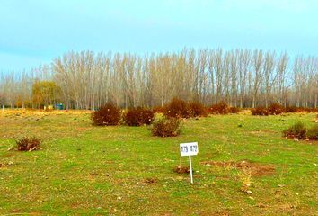 Terrenos en  Plottier, Neuquen