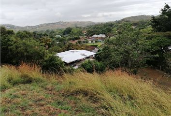 Lote de Terreno en  Caluce, Palmira