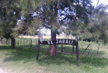 Terrenos en  Chacras De Abbott, Partido De Monte