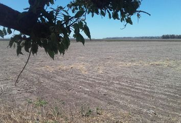 Terrenos en  Villa Cañás, Santa Fe