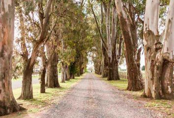 Terrenos en  El Campo - Fincas Exclusivas Cardales, Partido De Campana