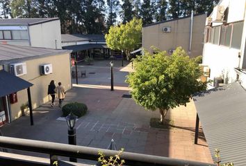 Oficinas en  Santa María De Tigre, Partido De Tigre