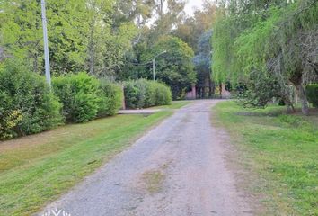 Terrenos en  El Remanso, Exaltación De La Cruz