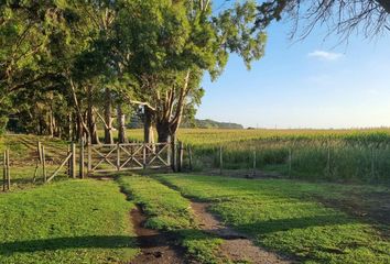 Terrenos en  Camet Norte, Partido De Mar Chiquita