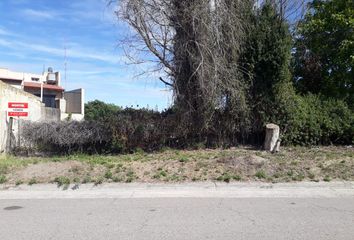 Terrenos en  Carmen De Patagones, Patagones