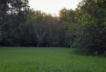 Terrenos en  Ibarlucea, Santa Fe