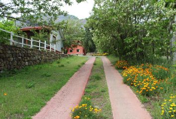 Local en  San José De Maipo, Cordillera