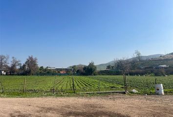 Parcela en  Colina, Chacabuco