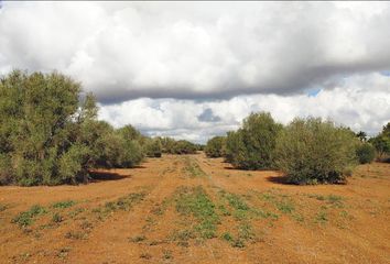 Terreno en  Campos, Balears (illes)