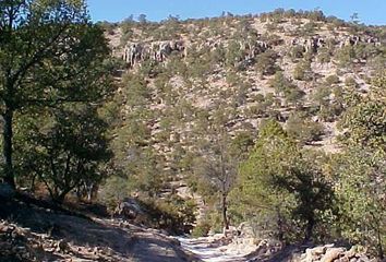 Lote de Terreno en  Calle Ojinaga, Carichi Centro, Carichí, Chihuahua, 33280, Mex