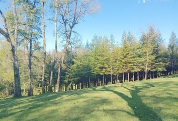 Parcela en  Villarrica, Cautín