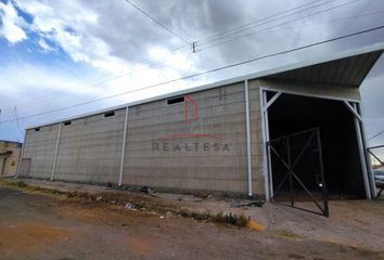 Local comercial en  Francisco Villa, Cuauhtémoc, Chihuahua