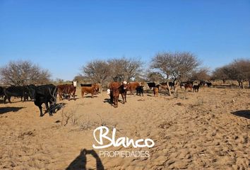 Terrenos en  Algarrobo Del Águila, La Pampa