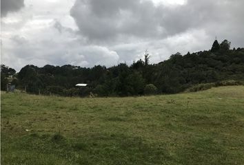 Lote de Terreno en  El Retiro, Antioquia