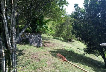 Lote de Terreno en  Lisboa, Manizales