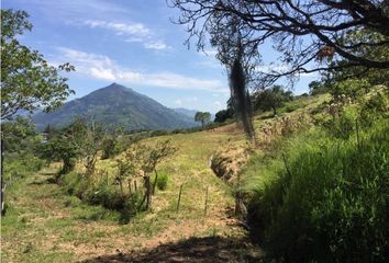 Lote de Terreno en  Fredonia, Antioquia