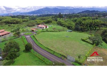 Lote de Terreno en  Los Alamos, Pereira