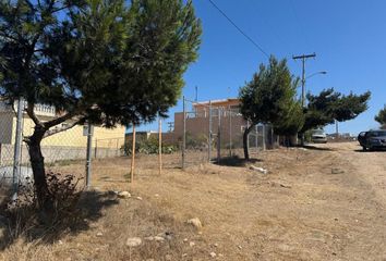 Lote de Terreno en  Avenida Loma De La Avispa, Terrazas Del Mar, Playas De Rosarito, Baja California, 22717, Mex