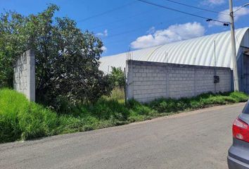 Lote de Terreno en  Calle Robles, Quinta Los Barandales, Ocoyoacac, México, 52740, Mex