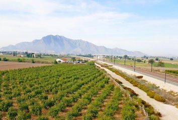 Chalet en  Callosa De Segura, Alicante Provincia