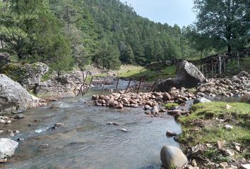 Rancho en  33186, Guachochi, Chihuahua, Mex