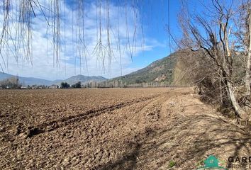 Parcela en  Nancagua, Colchagua