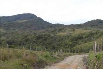 Villa-Quinta en  Abejorral, Antioquia