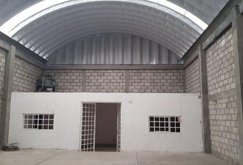 Local comercial en  Calle Abasolo 220, Zona Centro, Apaseo El Grande, Apaseo El Grande, Guanajuato, 38160, Mex