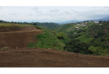 Lote de Terreno en  Centro, Pereira