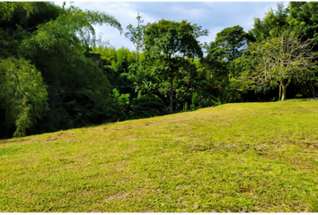 Lote de Terreno en  Portal Del Eden, Armenia