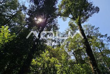 Lote de Terreno en  51248, Valle De Bravo, México, Mex