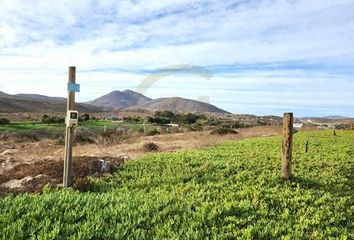 Parcela en  La Serena, Elqui