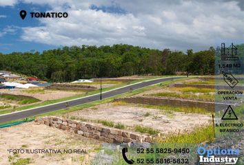 Lote de Terreno en  Calle Licenciado Adolfo López Mateos, Tonatico, México, 51950, Mex