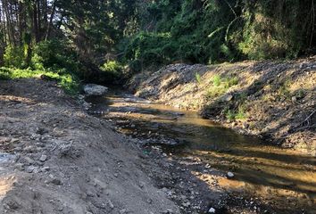 Parcela en  Pelluhue, Cauquenes