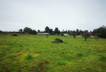 Parcela en  Chillán, Ñuble (región)