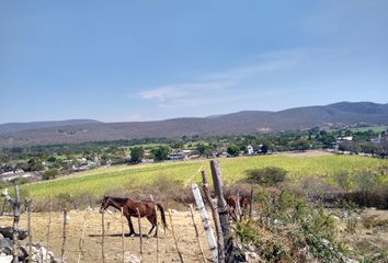 Lote de Terreno en  Santa Rosa 30 Centro, Tlaltizapán De Zapata