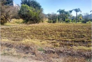 Lote de Terreno en  Atlacomulco, Jiutepec, Morelos