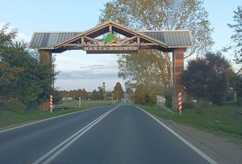 Parcela en  Los Muermos, Llanquihue