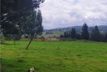 Local Comercial en  Sotaquirá, Boyacá