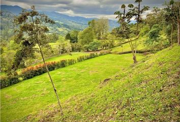 Lote de Terreno en  San Vicente, Antioquia