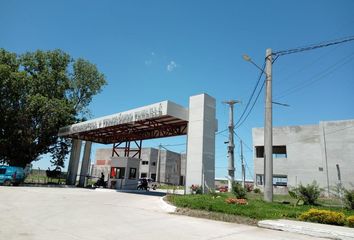 Galpónes/Bodegas en  Famailá, Tucumán