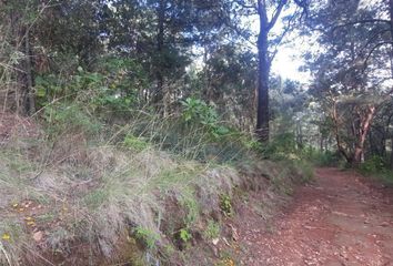 Lote de Terreno en  51217, Valle De Bravo, México, Mex