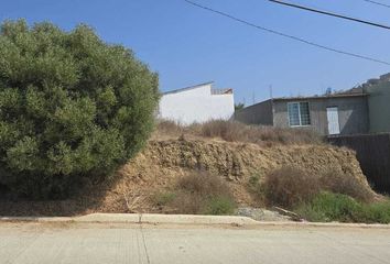 Lote de Terreno en  Calle Mar De Tazmania, Vista Marina, Playas De Rosarito, Baja California, 22740, Mex