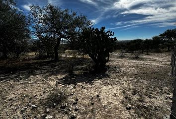 Lote de Terreno en  Poblado Comunal El Cedazo (cedazo De San Antonio), Ciudad De Aguascalientes